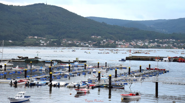 Vivir o Marisqueo en la Ría De Muros E Noia