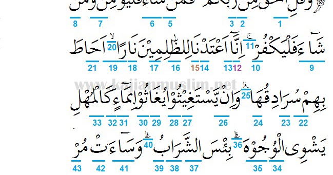 Surah Fath Ayat 29 Tafseer