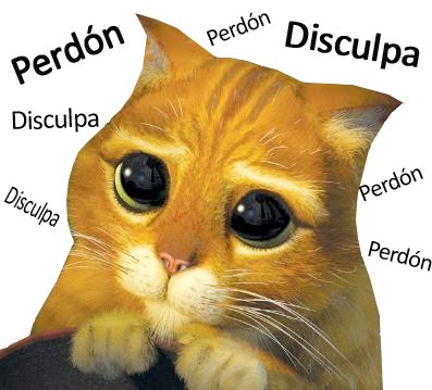 Resultado de imagen de pedir perdón