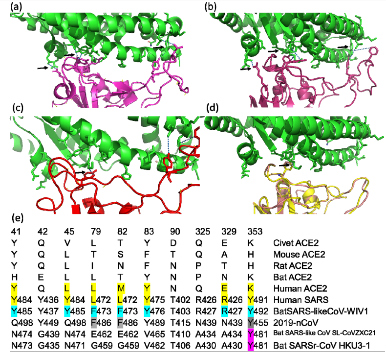 News in Proteomics Research: Wuhan Coronavirus (2019-nCoV ...