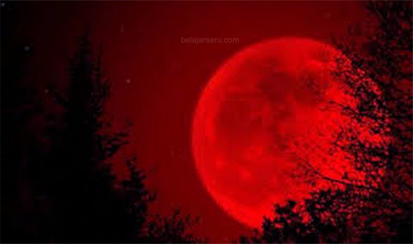 Кровавая луна 7. Кровавая Луна затмение. Кровавая Луна / Bloodmoon (1997). Кровавое полнолуние. Лунное затмение Кровавая Луна.