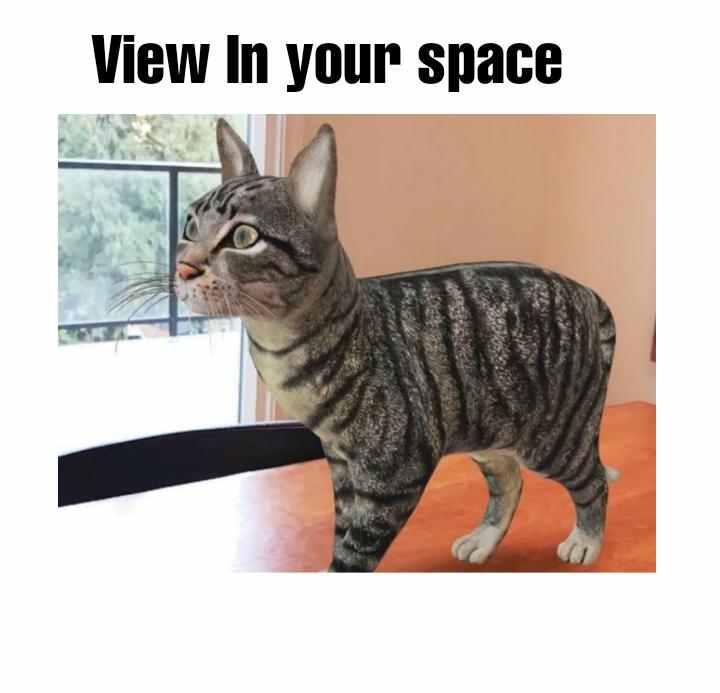 18+ 3D Animals On Google List PNG