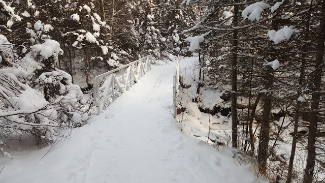 Sentier vers le mont Olivine