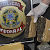 Polícia Federal apreendeu mais de 200 toneladas de maconha em 2019