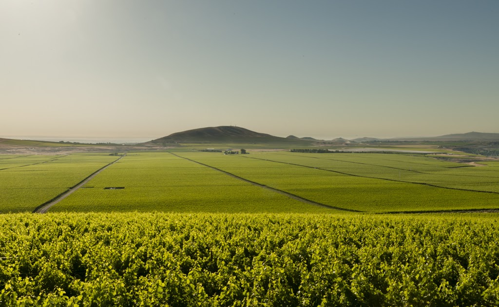 Meet Washington’s newest AVAs Part 2: Goose Gap