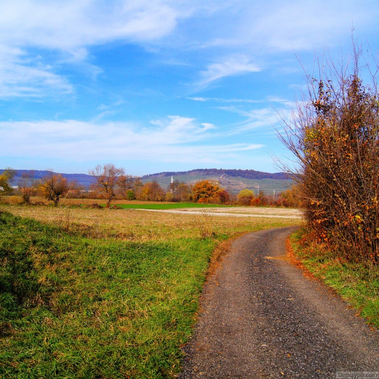 Beautiful Nature Profile Pictures Top Profile Pictures Display Pictures