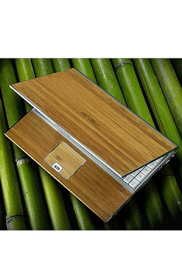 Asus Bamboo Ecobook Computer