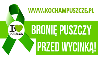 Kocham Puszcze KochamPuszcze.pl - GreenPeace Polska GreenPeace.pl - Obrońcy Puszczy