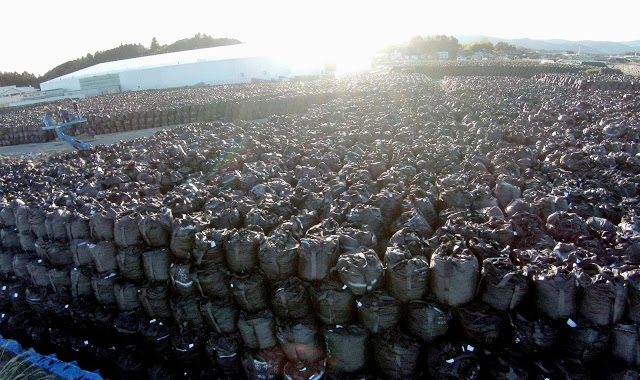 Typhoon Hagibis horror - Fukushima radioactive waste have been washed into local stream  N-radiowaste-a-20150314