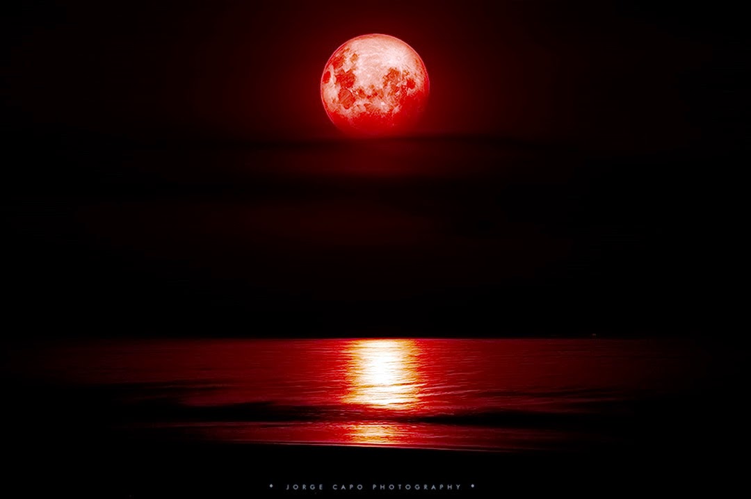 Купить кровавая луна. Красная Луна. Кровавая Луна. Кроваво красная Луна. Кровавая Луна фото.