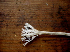 Sustainable Living Project:: Processing sinew into sewing thread