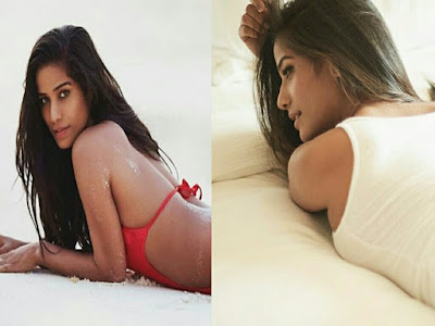 Bollywood Actress Poonam Pandey Hot Photos And Pic 