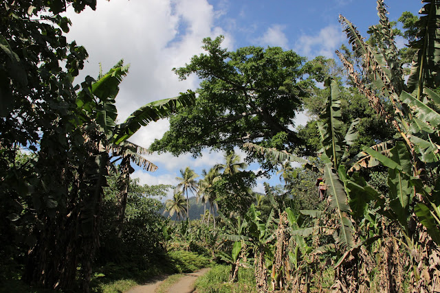 2016090171tanna.JPG