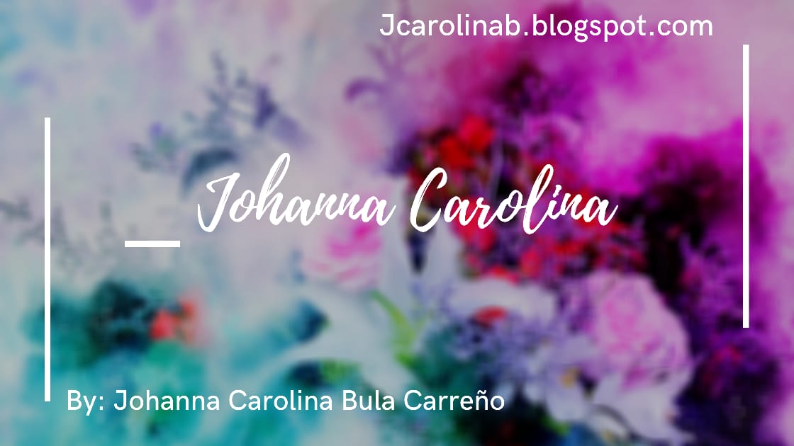 BLOG JOHANNA CAROLINA