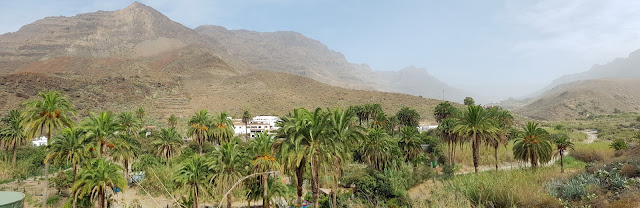 Arteara - Barranco de Fataga - Gran Canaria