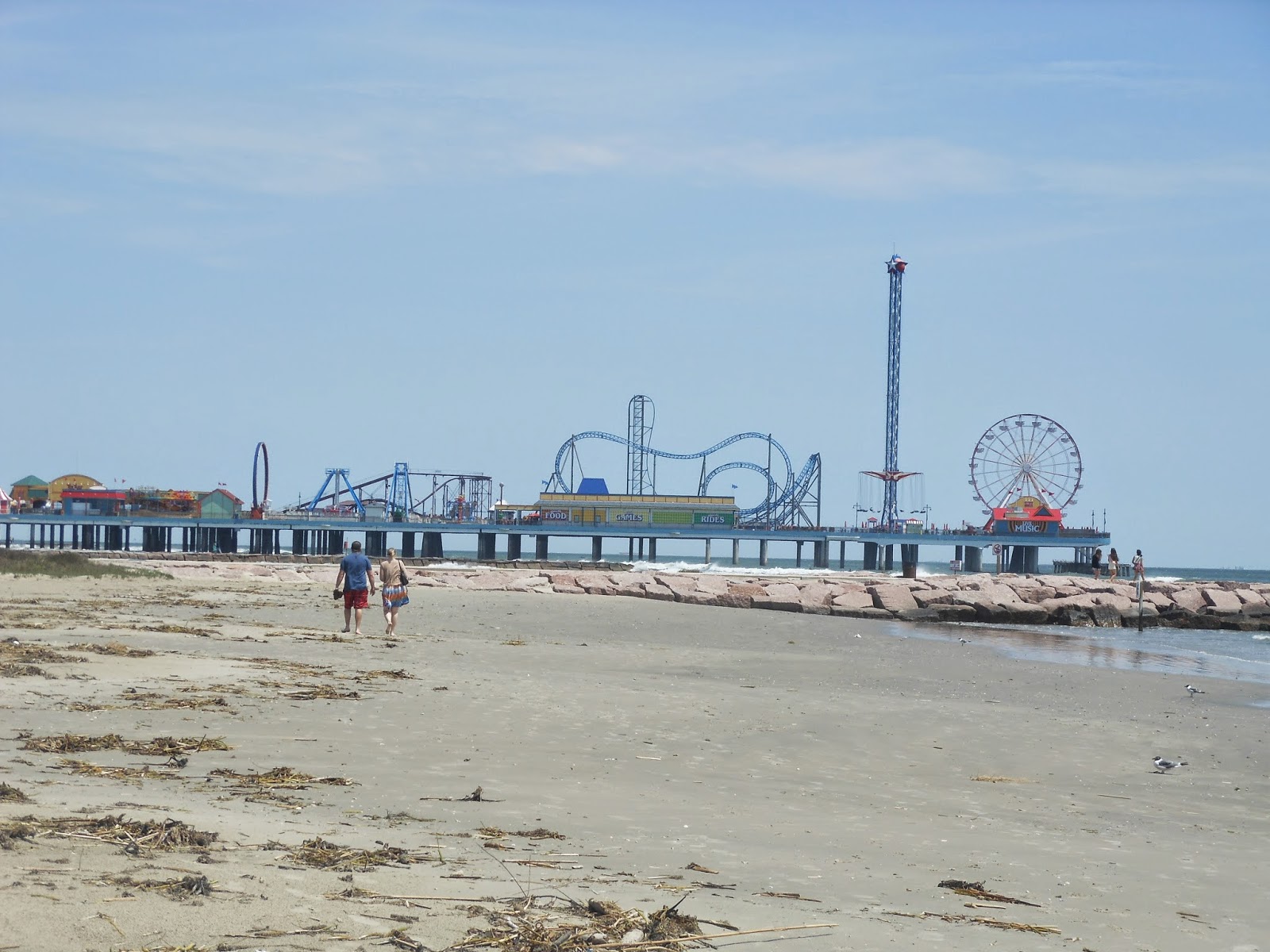 St. James Seals Houston Training Camp 2014