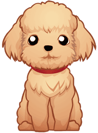 Animal | [PNG Pack] Sticker LINE Camera