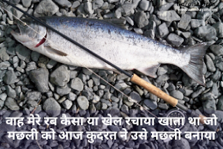 coronavirus india awareness status for whatsapp coronavirus status india awareness