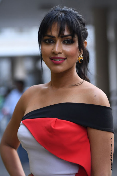 Amala Paul at Dongodochadu Press Meet
