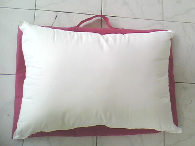 agen bantal sehat silikon anti bakteri anti air bisa dicuci merk bulu angsa toko jujur barokah agen bantal sehat silikon anti bakteri anti air bisa dicuci merk bulu angsa toko jujur barokah