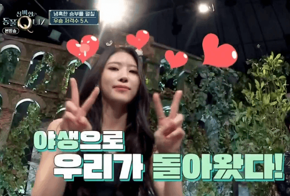 러블리즈 신비한 동물퀴즈 미주