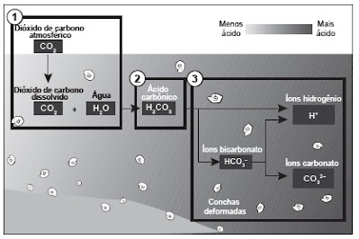 QUESTÕES DO ENEM - IMPACTOS AMBIENTAIS