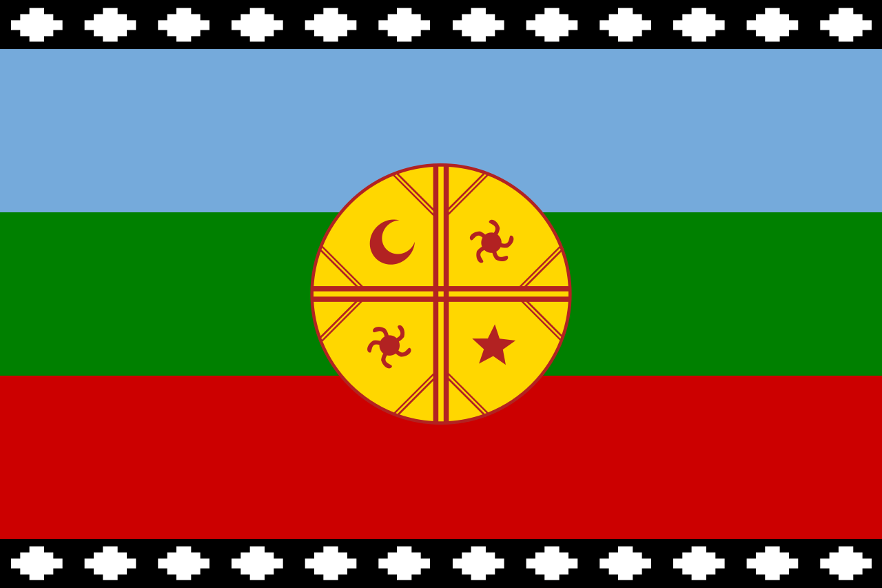 14.-Bandera Mapuche