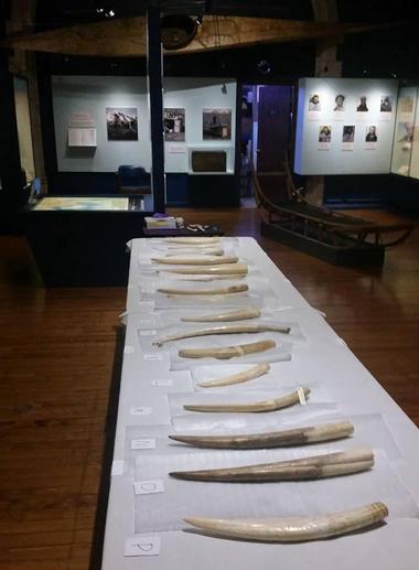 Peary-MacMillan Arctic Museum