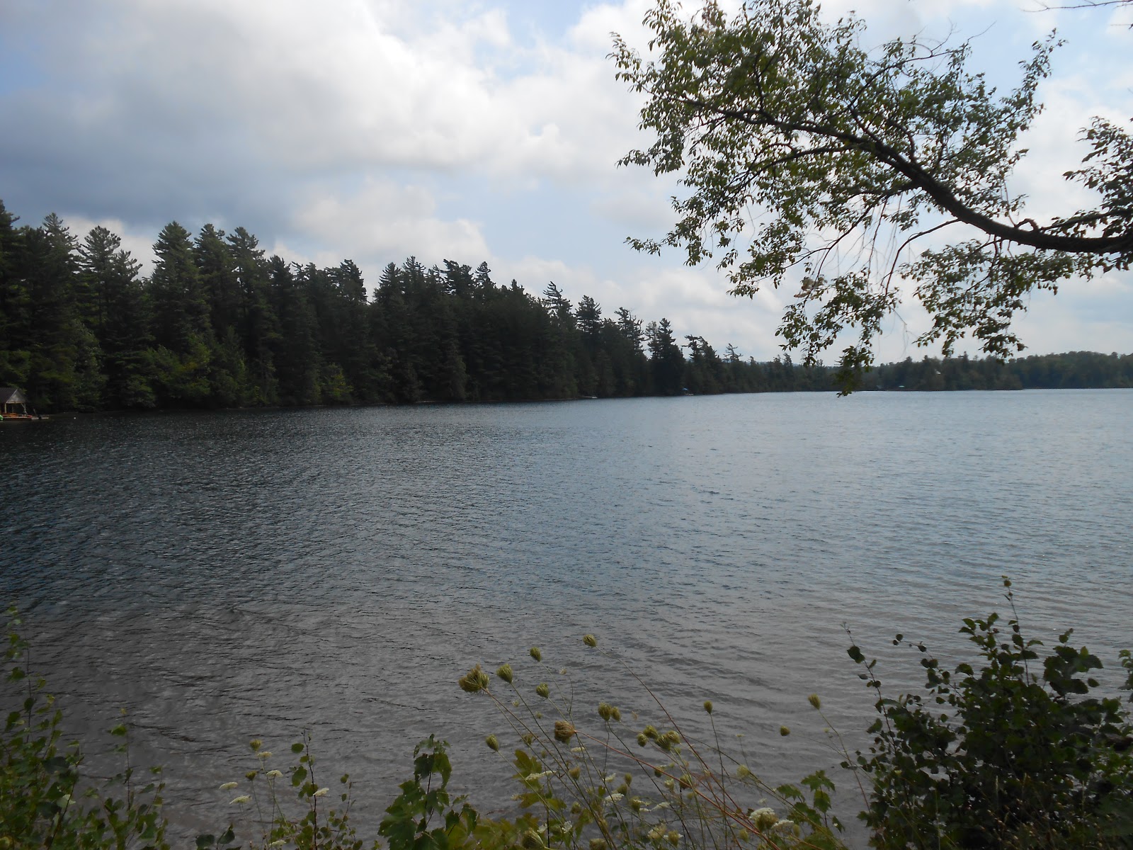 Diana's Longest Summer Day 55 Watertown, NY to Star Lake, NY