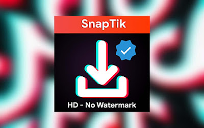 tiktok saver with watermark