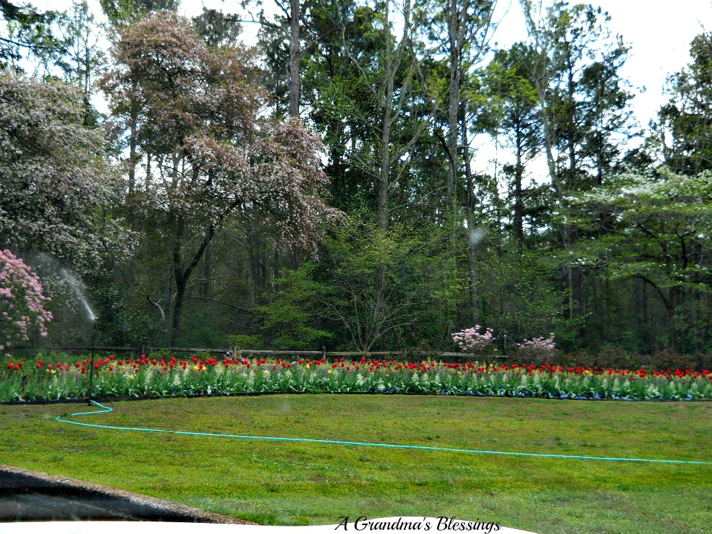 A Grandma's Blessings MY DAY AT CALLAWAY GARDENS