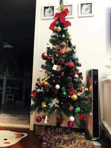 Cây thông noel full đồ trang trí m8 8 f3b007f58 f4a2 4e28 ab04