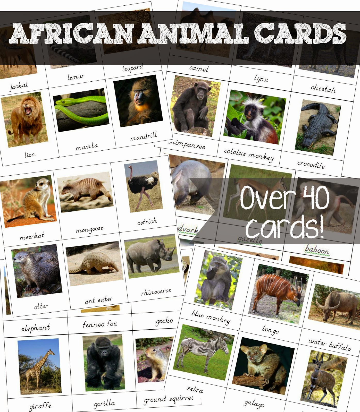 free printable african animal cards welcome to mommyhood free welcome cards