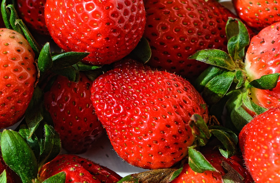 Strawberry dapat dikembangbiakan secara vegetatif buatan dengan cara