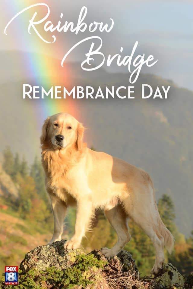 Rainbow Bridge Remembrance Day