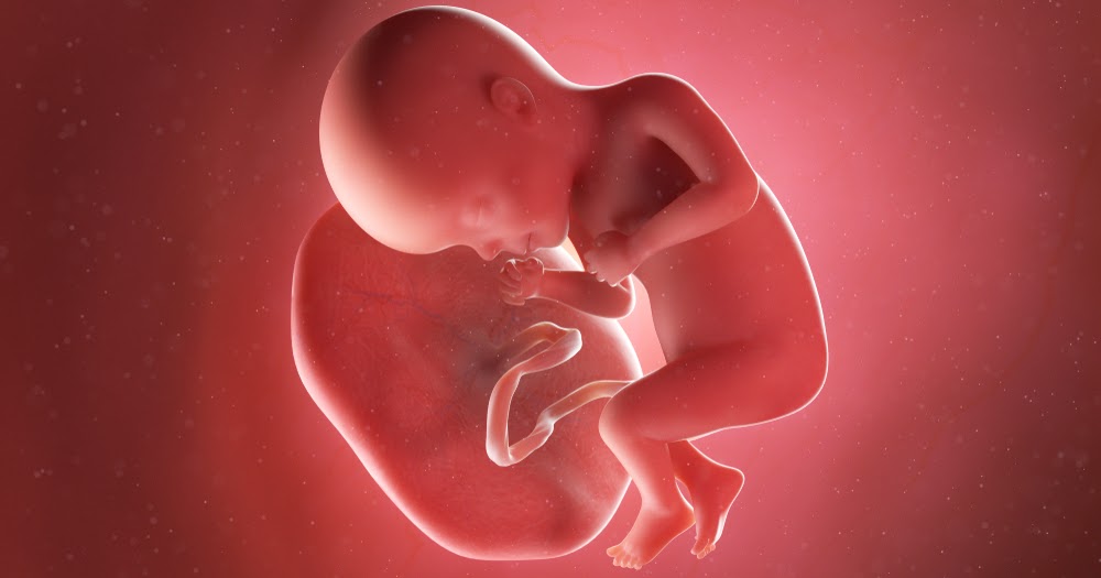 Retained Placenta Signs & Symptoms