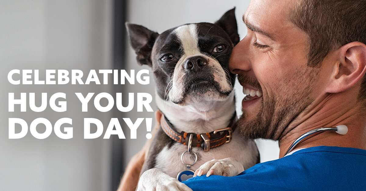 National Hug Your Dog Day Wishes Images Whatsapp Images