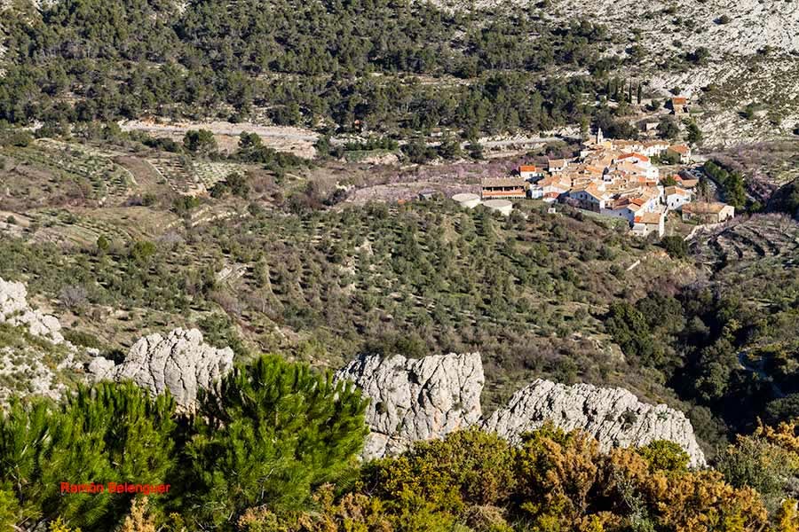 BICHOS Y MAS VLC UN PASEO POR LA SIERRA DE LA SERRELLA O EL PIRINEO