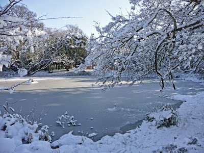Frozen skating pond in winter