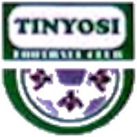 TINYOSI FC