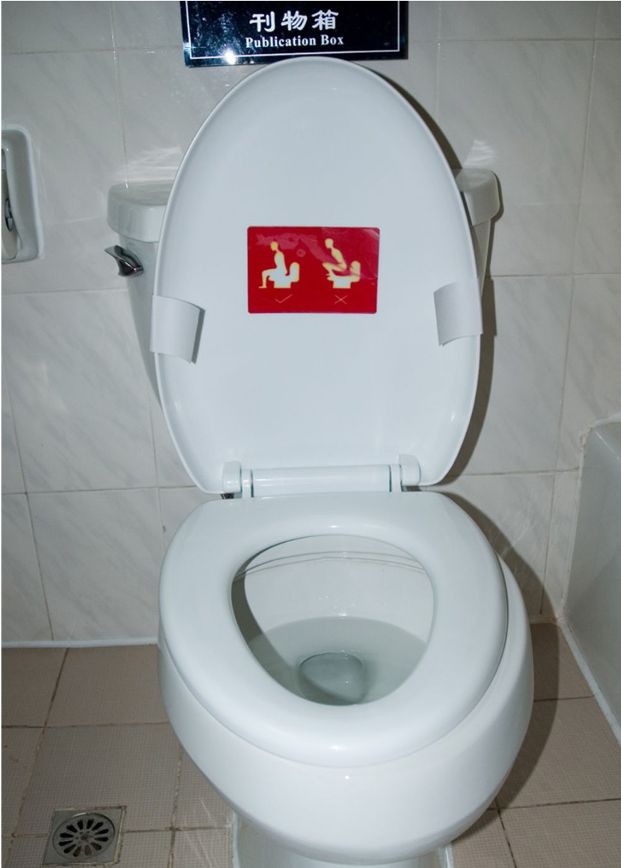 Thisoldtoilet Replacement Toilet Lids and Seats Know before you go