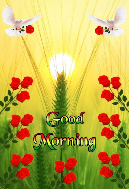 Good Morning Images For Whatsapp Good Morning Images For Whatsapp
