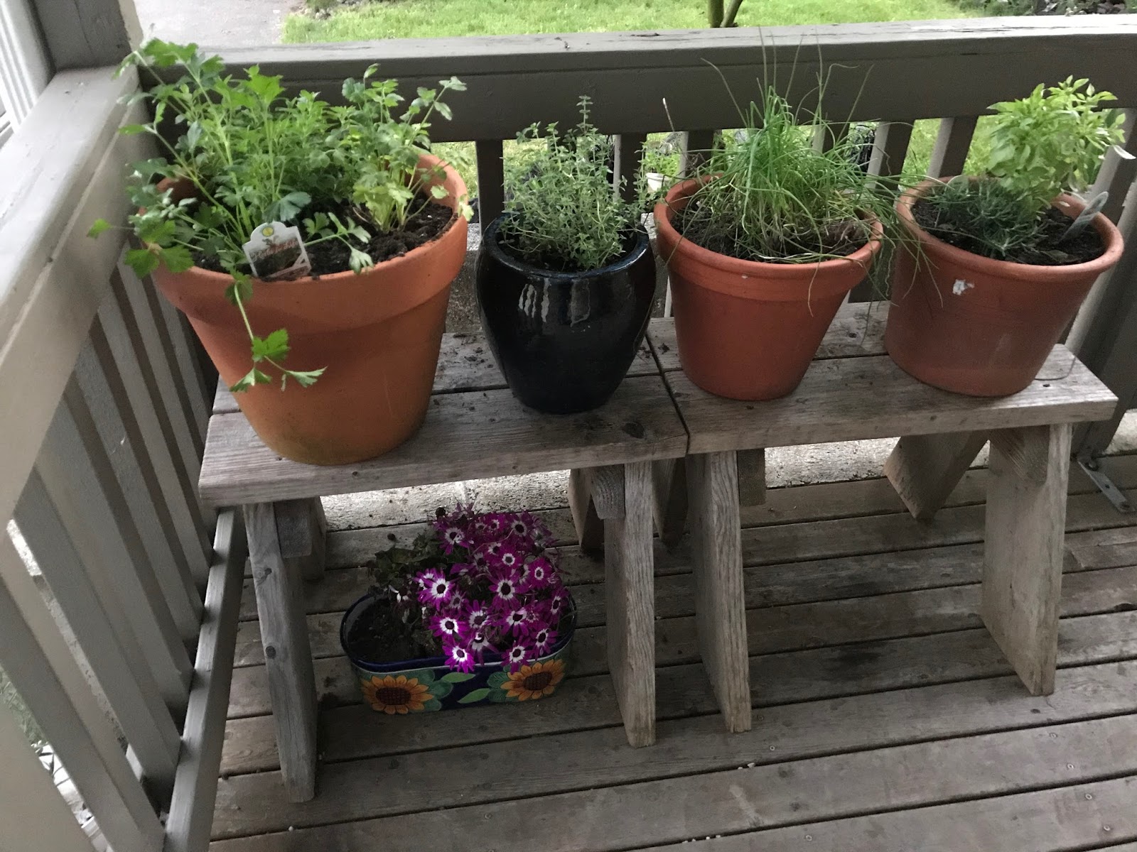 Wide Margins: Porch Herb Garden Love