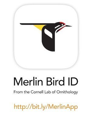 My favorite Birding App