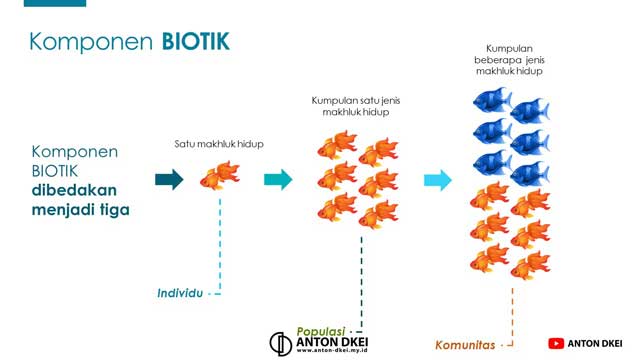 Ekosistem Media Pembelajaran Powerpoint Anton DKei