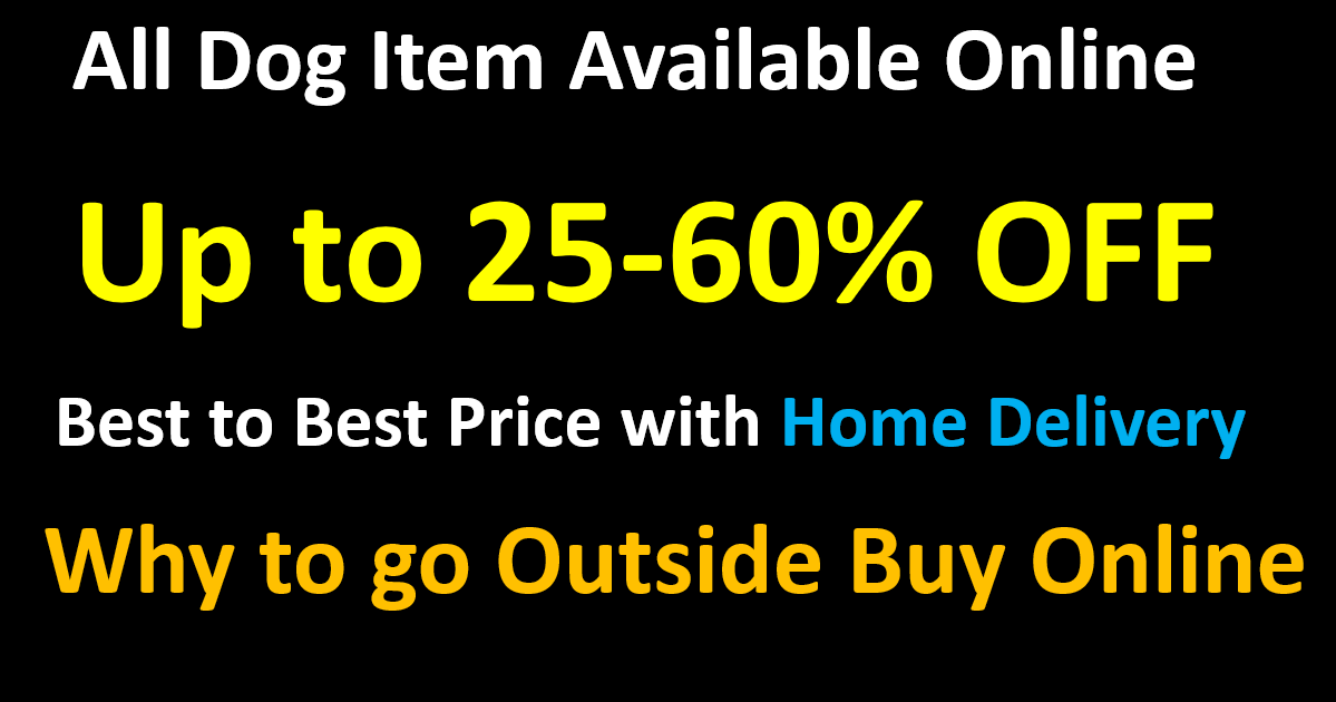 CLICK FOR Best Dog Accessories Online Discount Discount