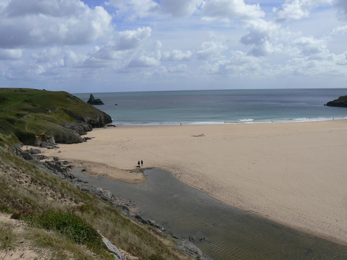 A Field Notebook: Bosherston Lakes and Stackpole Warren, Pembrokeshire