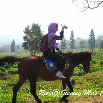 [Cisarua Bogor] Berkuda di Gunung Mas