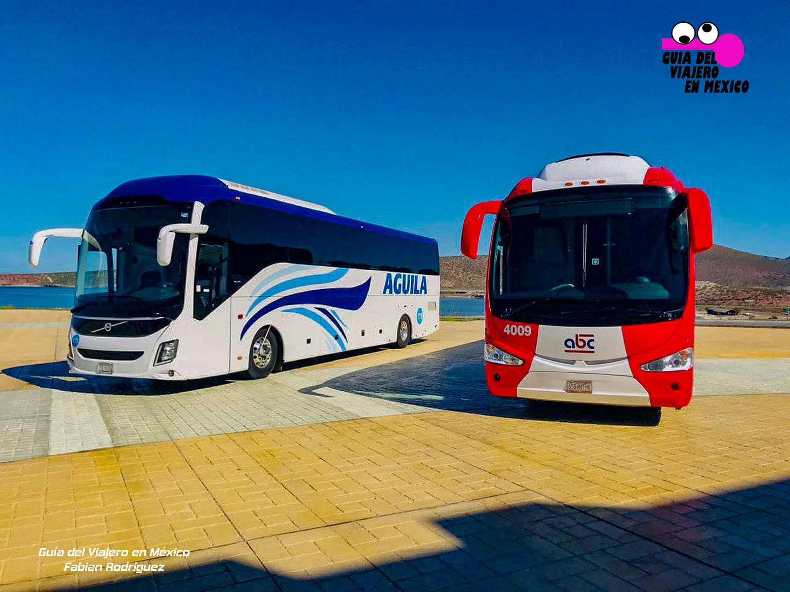 Conoce la historia de ABC, Autobuses de Baja californis