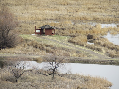 sheepy ridge wildlife trail